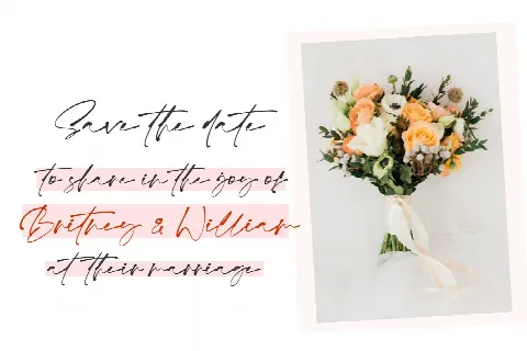 Monita Signature