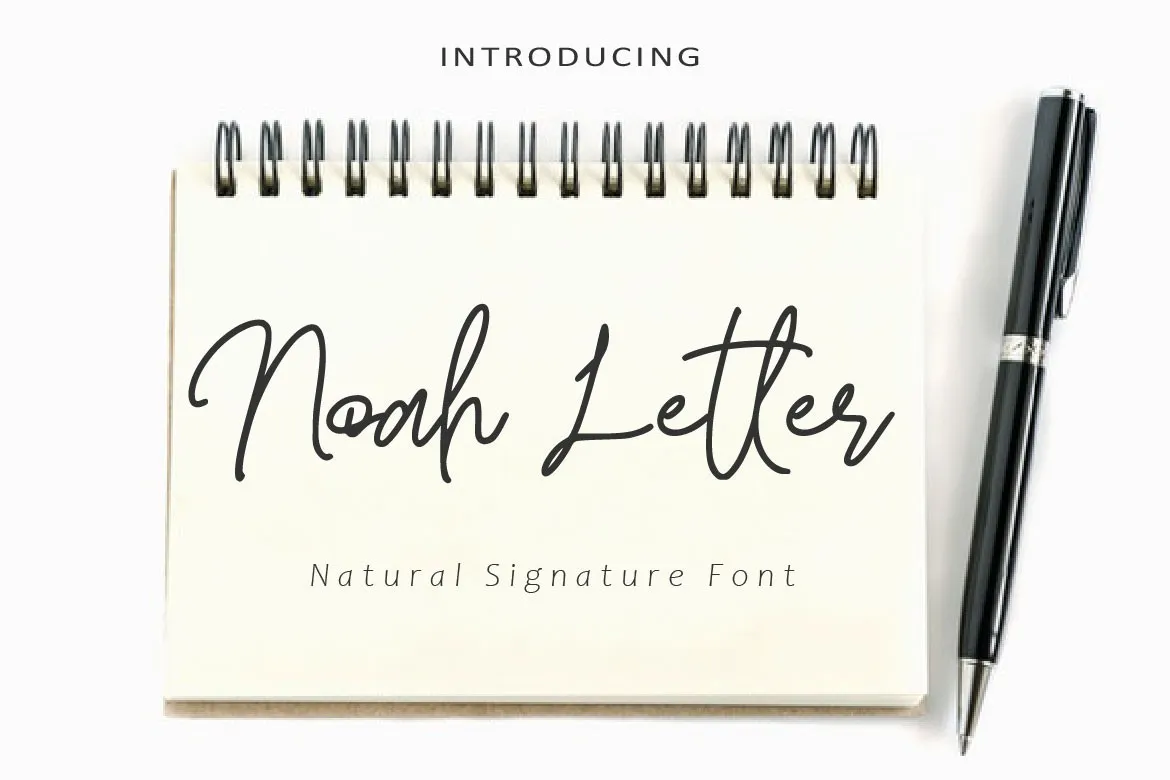 Noah Letter