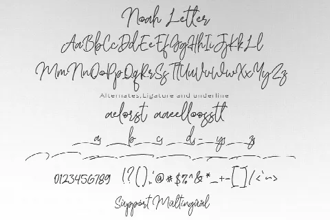 Noah Letter