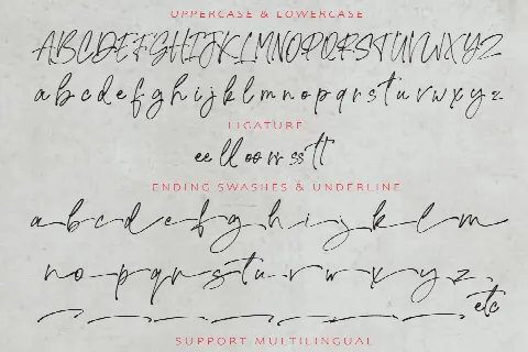 Signature United
